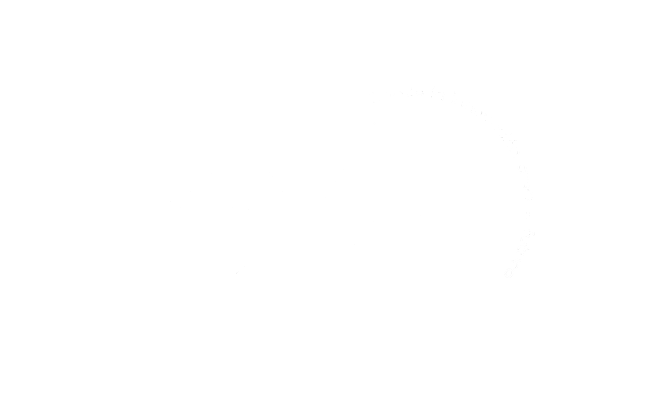 Axis Logo Transparente